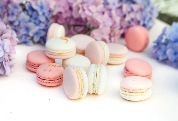 Macarons mit Hortensienblüten — Stockfoto