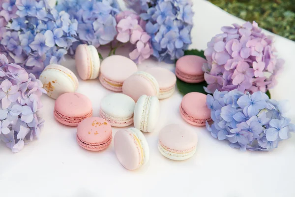  macarons ortanca çiçekleri ile