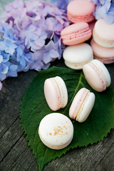 macarons ahşap arka plan üzerinde