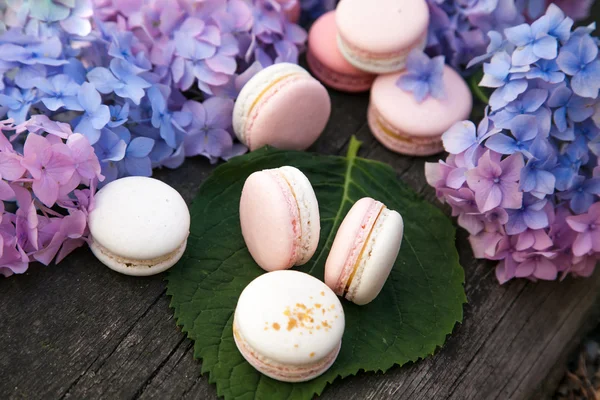 macarons ahşap arka plan üzerinde