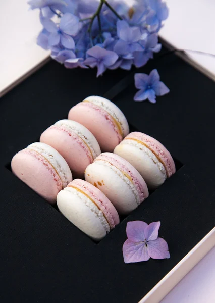 꽃 macarons의 상자 — 스톡 사진