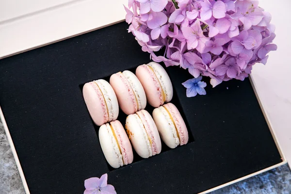 Box of macarons with flowers — Stock Photo, Image