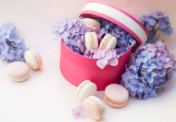 Macarons en boîte avec des fleurs — Photo