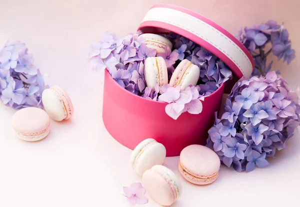 macarons kutusunda çiçekli