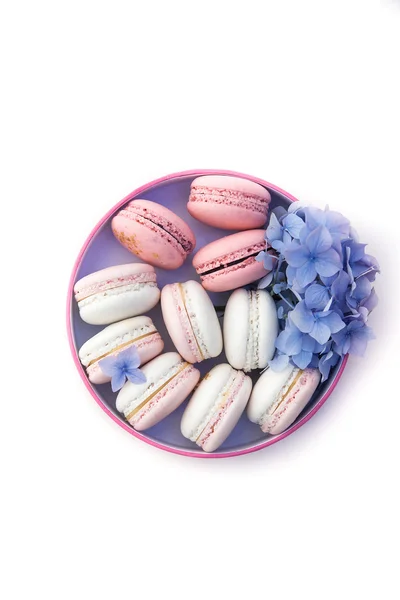 Macarons in box with flowers — Stock Photo, Image