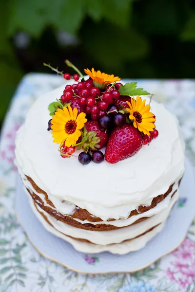 Bolo de cenoura nua esponja — Fotografia de Stock