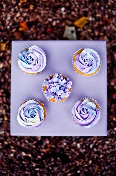 Violet cupcakes i vitneboksen – stockfoto