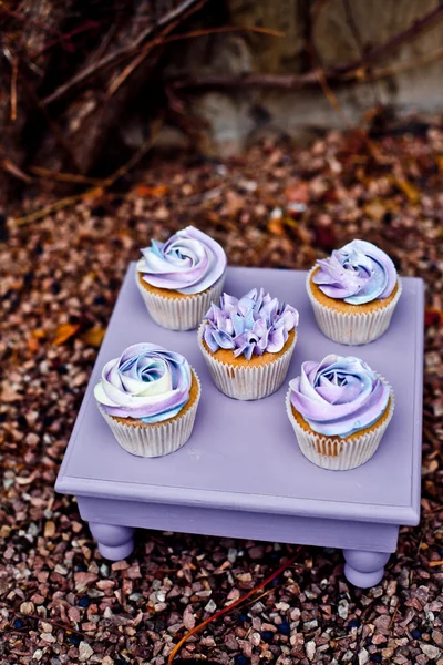 Violet cupcakes on a stand — Stock Photo, Image