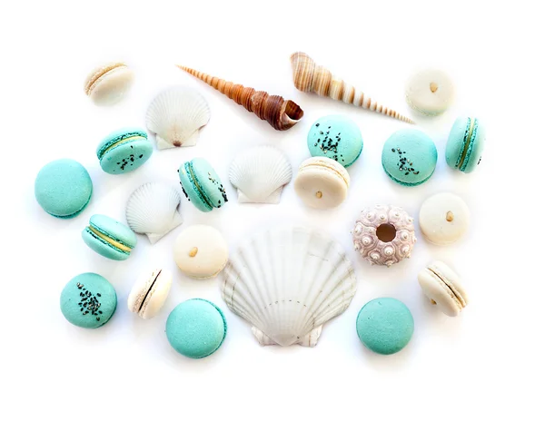 Синьо-біле печиво з морськими мушлями на білому тлі — стокове фото