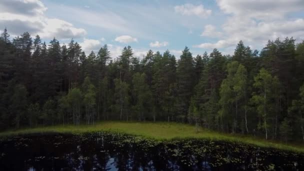 Dron stoupající z rybníka do nekonečného lesa. Krásné mraky na obloze. — Stock video