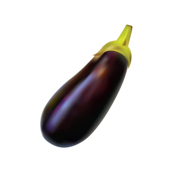 Sayuran Aubergine, terong ungu diisolasi pada latar belakang putih. Citra realistis dari sebuah brinjal. - Stok Vektor