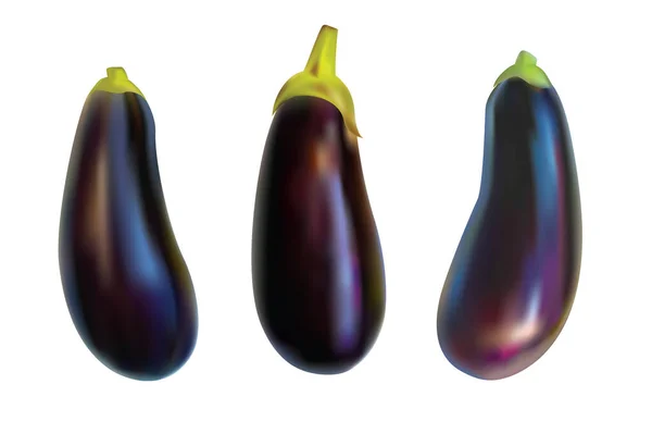 Aubergine végétale, aubergine violette isolée sur fond blanc. Image réaliste d'un brinjal. — Image vectorielle