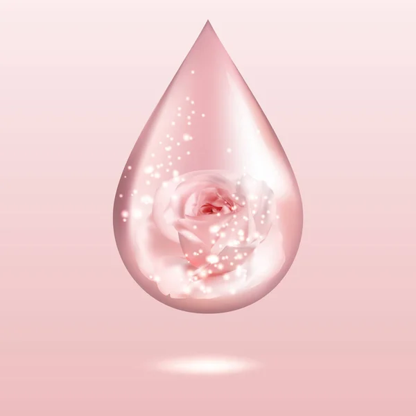 ライト グレア 影とピンクのバラ油ドロップ 光沢のある香水の水露 アロマセラピーサイン ベクターイラスト — ストックベクタ