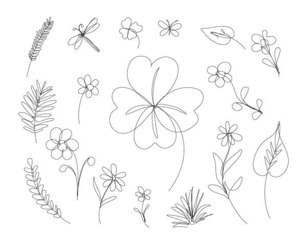 Flowers Herbs Grass Continuous Line Drawing Sketchy Single Leaves Chamomile — Stock Vector