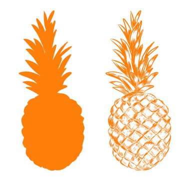 Ananas çizimi. Elle çizilmiş kabataslak ve siluet ananas. Vitamin yaz tatlısının resmi.. 