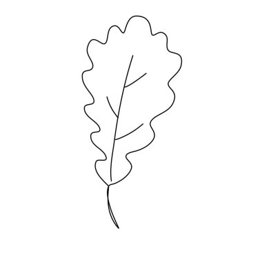 Beyaz arka planda izole edilmiş, yenilebilir felçli meşe yaprağı. Doğrusal dekoratif element. Vektör İllüstrasyonu.