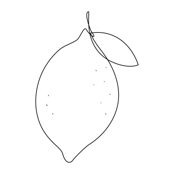Lemon Leaf Continuous Line Drawing Outline Simple Artwork Editable Stroke — Stockvector