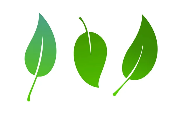 Green Leaves Icon Set Isolated White Background Eco Logo Collection — Wektor stockowy