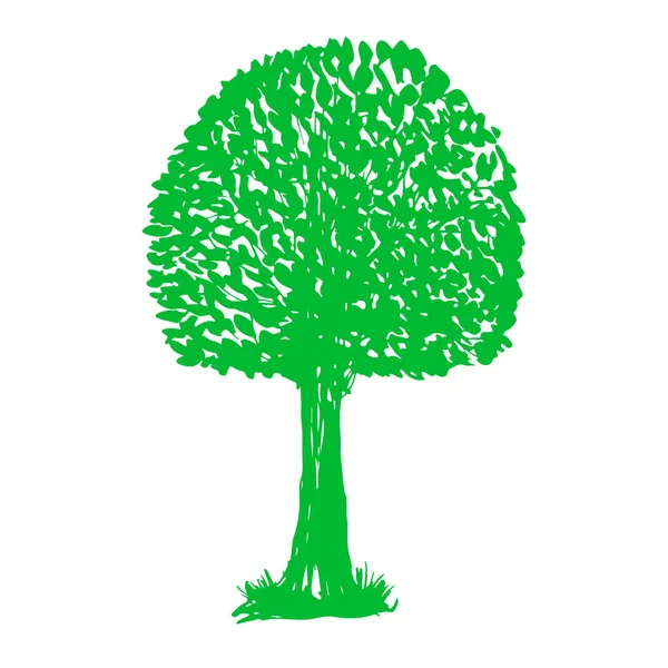 Vektorgrüner Baum Silhouette Stil Skizzenhafte Einzelpflanze Isoliert Auf Weißem Hintergrund — Stockvektor