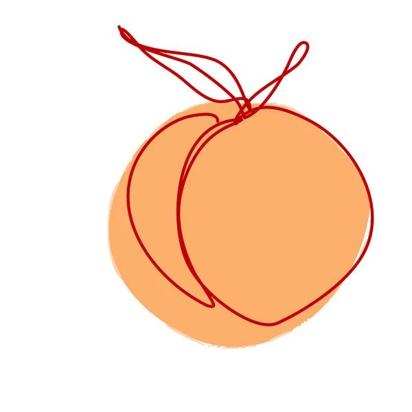 Vector Peach Continuous Line Drawing Sketchy Single Apricot Overzicht Eenvoudige — Stockvector