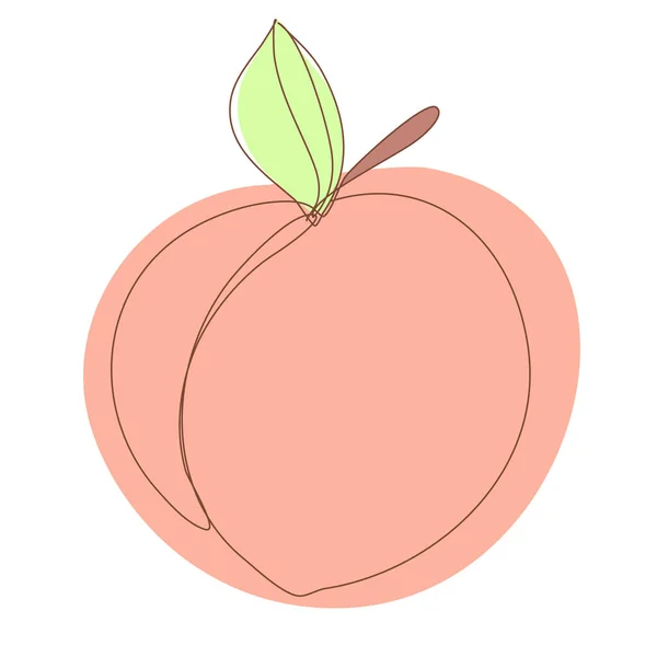 Vektori Peach Jatkuvassa Piirroksessa Sketchy Single Aprikoosi Pääpiirteittäin Yksinkertainen Taideteos — vektorikuva