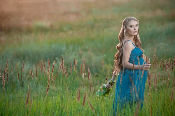 Krásná nabídka těhotná žena chůze na louce — Stock fotografie