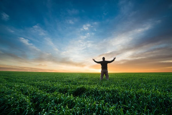 Joven feliz en el campo verde de trigo al amanecer — Foto de Stock