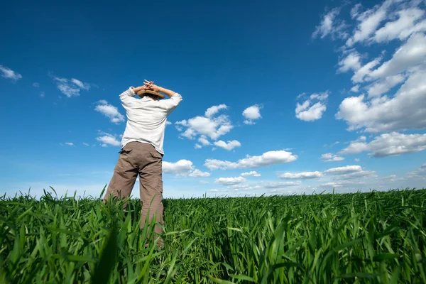 young man on green field of wheat
