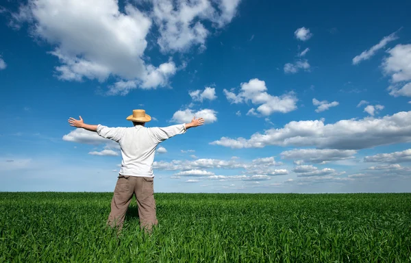 Joven feliz en el campo verde de trigo — Foto de Stock