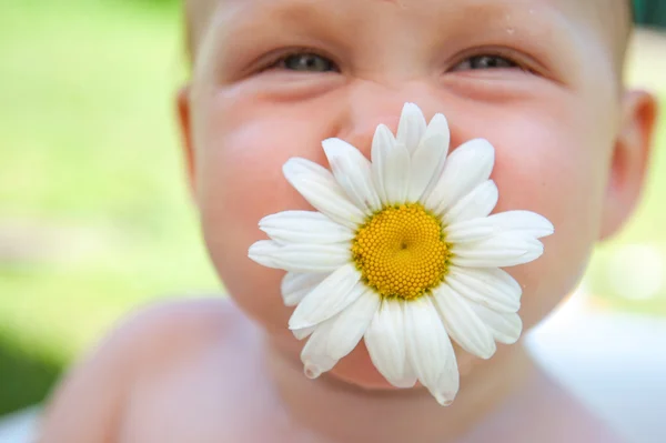 Boldog gyermek együtt egy virág Kamilla — Stock Fotó