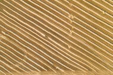 Manzaralı soyut tarım alanları. Hava görünümü.