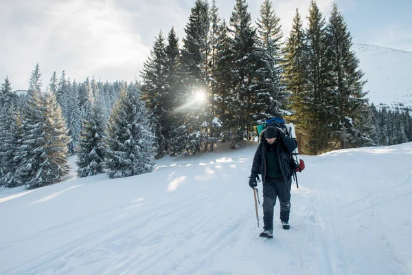 带着冰斧和背包的旅行者走在雪山森林里 — 图库照片