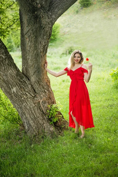 美しいです柔らかい女性で赤ドレススタンド上の緑の草 — ストック写真