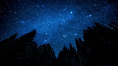 Gece ormanında parıldayan parlak yıldızlı gökyüzü. Sinemagraf