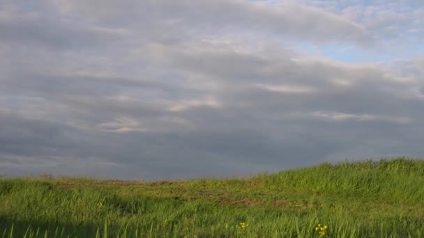 日落时小女孩骑自行车在风景秀丽的乡间路上 — 图库视频影像