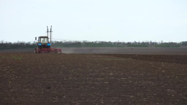 Tractor Plows Farm Field — Stock Video