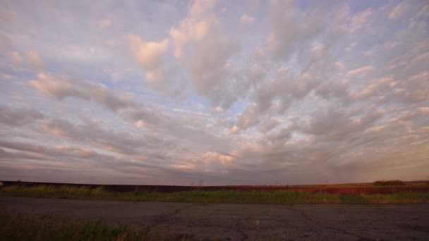 Children Ride Bicycles Dog One Another Scenic Rural Road Sunset — Stock Video