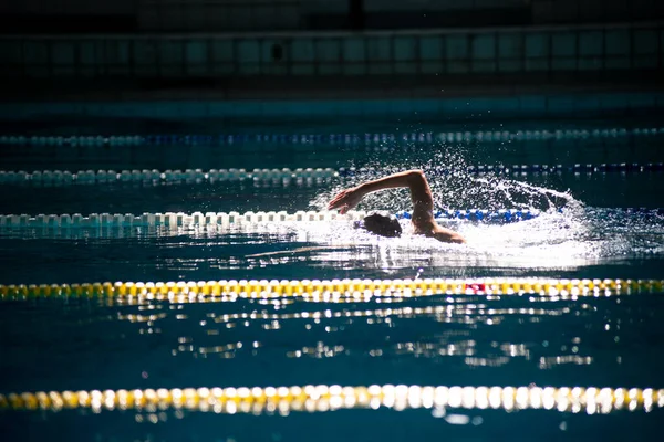 Nadador Nada Livre Piscina Bela Luz Solar — Fotografia de Stock