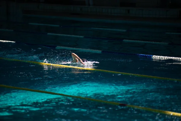 Zwemmer Zwemt Freestyle Het Zwembad Prachtig Zonlicht — Stockfoto