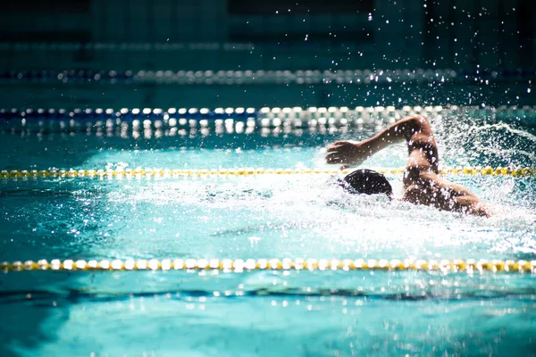 Nadador Nada Livre Piscina Bela Luz Solar — Fotografia de Stock