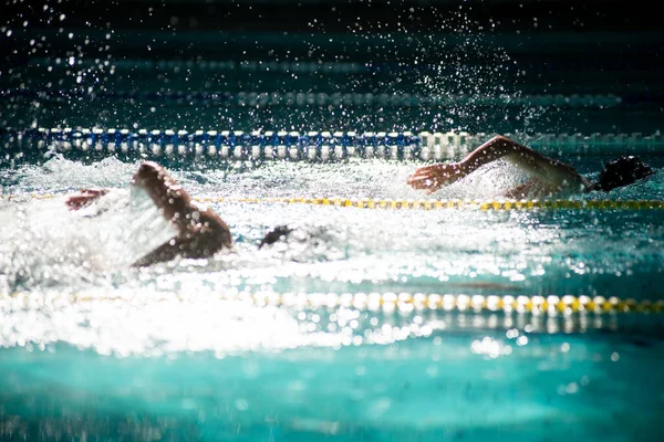 Corrida Dois Nadadores Estilo Livre Piscina Bela Luz Solar — Fotografia de Stock