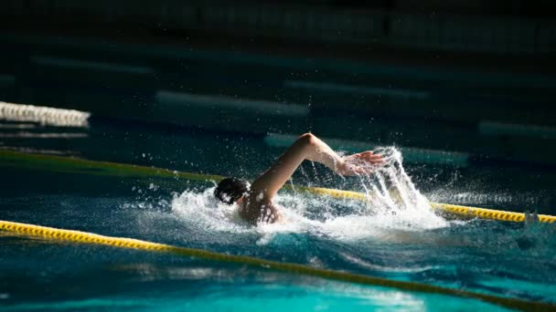 Nadador Nada Estilo Libre Piscina Hermosa Luz Del Sol Párrafo — Vídeos de Stock