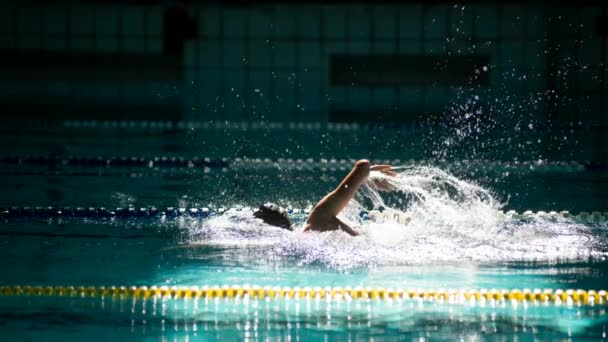 Zwemmer Zwemt Freestyle Het Zwembad Prachtig Zonlicht Bioscoopfiguur — Stockvideo