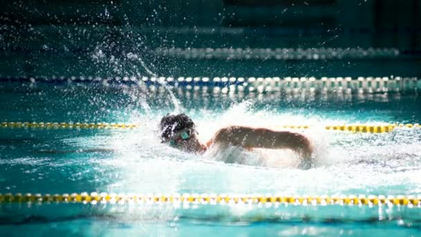 Zwemmer Zwemt Freestyle Het Zwembad Prachtig Zonlicht Bioscoopfiguur — Stockvideo