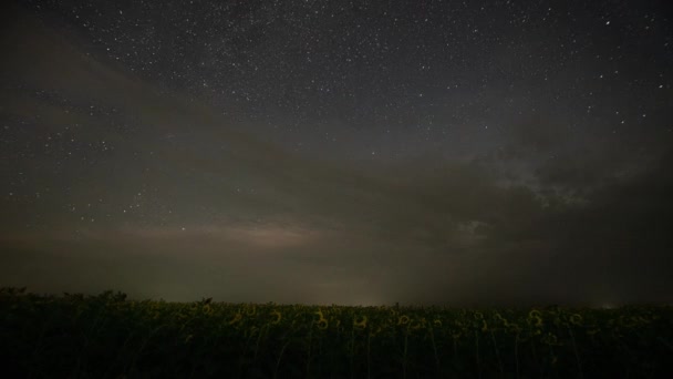 时间流逝 夜晚雷雨中 美丽的月亮在一片片向日葵上升起 — 图库视频影像