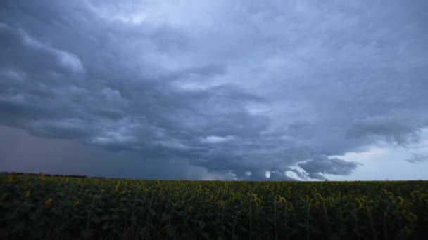 Desfasamento Tempo Tempestade Bonita Com Nuvens Relâmpagos Sobre Campo Com — Vídeo de Stock