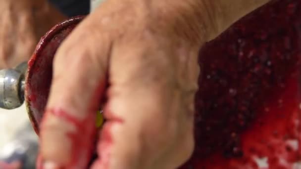 Mãos Homem Costeletas Bagas Verão Para Engarrafamento Moedor Closeup — Vídeo de Stock