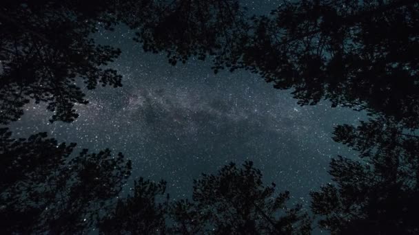 Tidsförskjutning Milky Sätt Stjärnhimlen Natten Skogen — Stockvideo