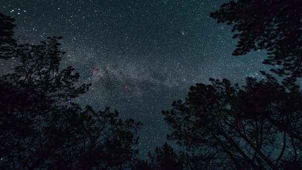 Zaman Atlaması Gece Ormanında Yıldızlı Gökyüzünde Samanyolu — Stok video