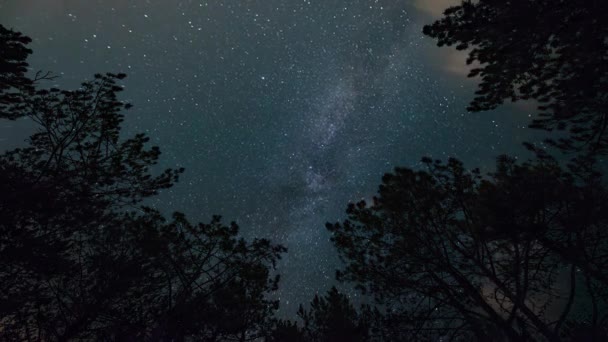 Χρονικό Κενό Γαλαξίας Στο Έναστρο Ουρανό Στο Νυχτερινό Δάσος — Αρχείο Βίντεο
